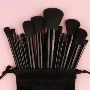 Professional Makeup Brush Set with Sponges — 13pcs